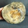 il_fullxfull.8717463702_5lkf.jpg Naczynie ceramiczne z rzeźbami ciem - seria "Kamienny sen"