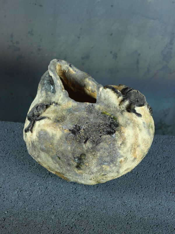 il_fullxfull.8717487114_6ksk.jpg Naczynie ceramiczne z rzeźbami żuków - seria "Kamienny sen"