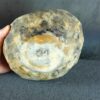 il_fullxfull.8717488696_e1rg.jpg Naczynie ceramiczne z rzeźbami żuków - seria "Kamienny sen"