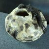 il_fullxfull.8765245839_rbwn.jpg Naczynie ceramiczne z rzeźbą jaszczurki - seria "Kamienny sen"