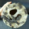 il_fullxfull.8765246157_22h6.jpg Naczynie ceramiczne z rzeźbą jaszczurki - seria "Kamienny sen"