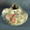 il_fullxfull.8765289891_mwub.jpg Naczynie ceramiczne z rzeźbami ciem - seria "Kamienny sen"