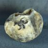 il_fullxfull.8765313827_khbu.jpg Naczynie ceramiczne z rzeźbami żuków