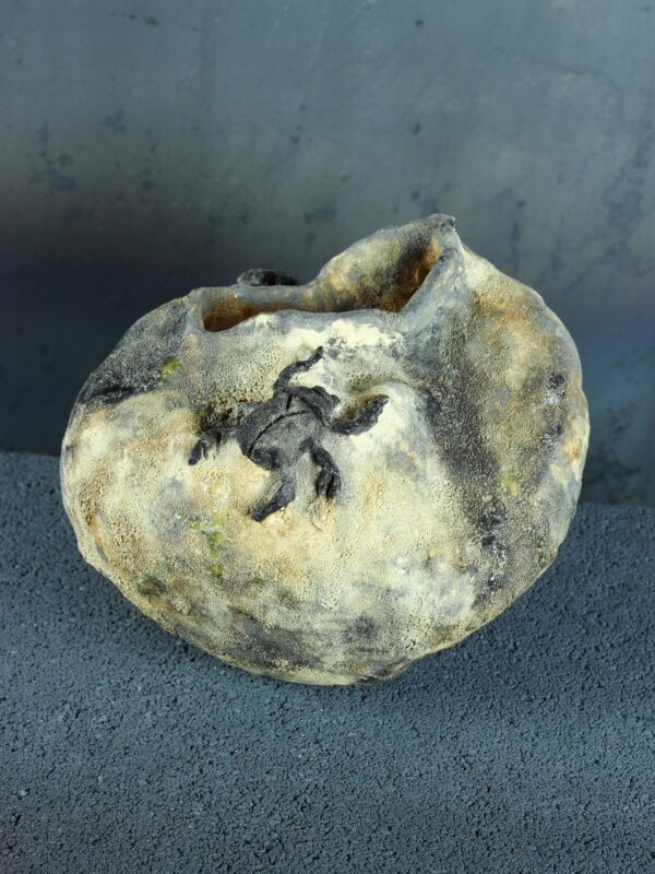 il_fullxfull.8765313827_khbu.jpg Naczynie ceramiczne z rzeźbami żuków